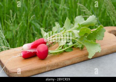 Radish with leaves and root on a wooden cutting board. Agriculture, nitrate-free products. Selective focus. Stock Photo