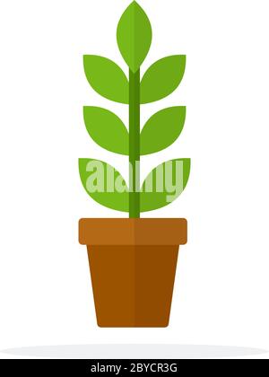 Home plant with leaves and a stem in a pot flat isolated Stock Vector