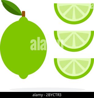 Whole lime vertically and three wedges of lime vector flat isolated Stock Vector