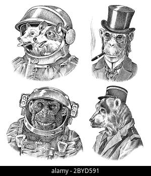 Monkey and Dogs astronaut, Bear in military style. Chimpanzee Spaceman dressed in Suit. Fashion Animal character. Hand drawn sketch. Vector engraved Stock Vector