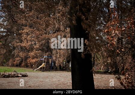 A swingset on a property in Sarsfield. Stock Photo
