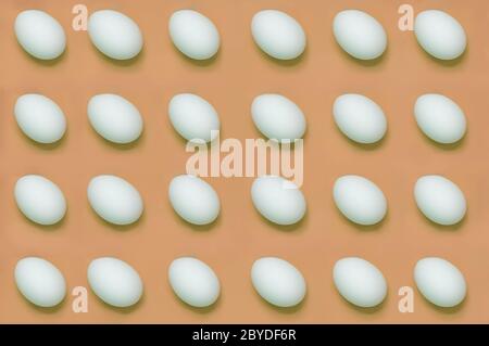 White eggs arranged on solid color background Stock Photo