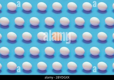 Single colored egg among white eggs solid color background Stock Photo