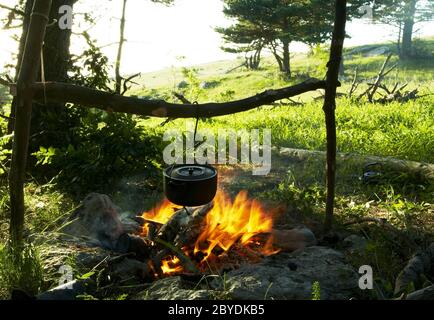Campfire in forest Stock Photo