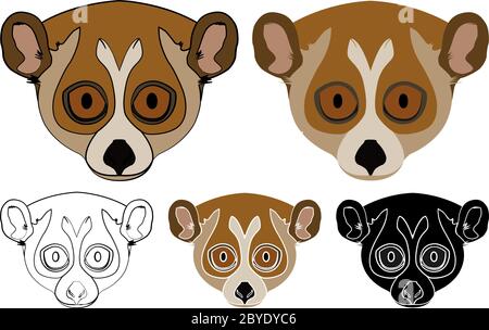 Pygmy Slow Loris animal in face view Stock Vector