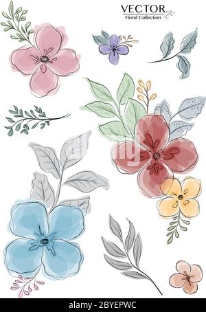 Set of colorful watercolor florals branch with black line style. isolated vector use for design wedding, greeting card, nature banner, floral backgrou Stock Vector