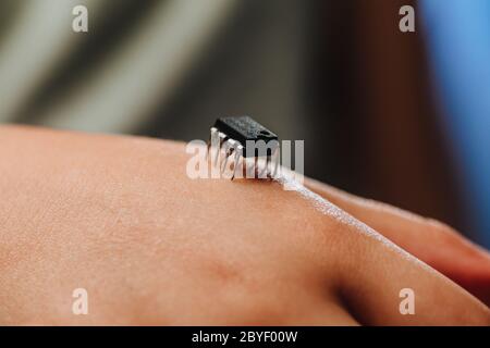 Implantation of a small black chip in hand. Chipization of people after an epidemic coronavirus. Stock Photo