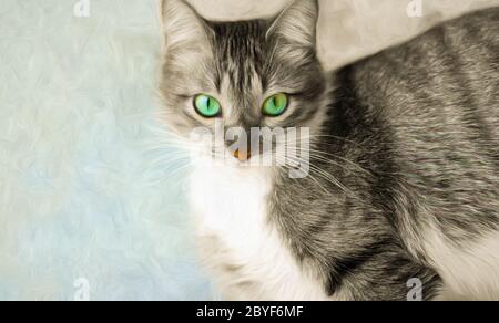 A Green eyed Cat is Looking Right at the Camera Stock Photo