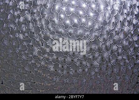 seamless glass wall Stock Photo