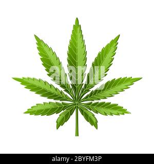 Marijuana leaf or cannabis leaf weed icon isolated on white background Stock Vector