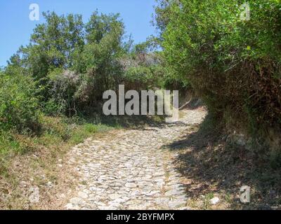 idyllic sunny sunken lane in Alonnisos in Greece Stock Photo