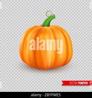 Realistic ripe pumpkin. Isolated on transparent background, vector illustration. Stock Vector