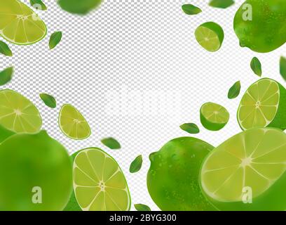 Set of fresh sour lime with green leaves.Falling lime on transparent background. Flying lime fruits are whole and cut in half. Vector illustration Stock Vector