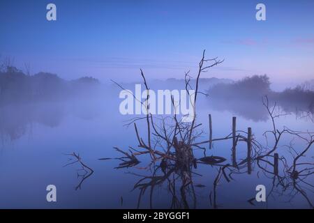misty sunrise on bog Stock Photo