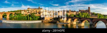 Albi. Old bridge (le pont vieux) and Cathedral of Saint Cecilia, River Tarn, Tarn departement, France, Europe Stock Photo