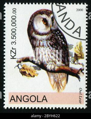 ANGOLA - CIRCA 2000: Barn owl posing on branch, circa 2000. Stock Photo