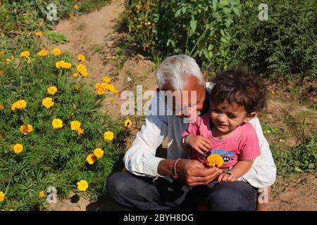 March 6, 2020. a grandfather giving yellow marigold flowers to his grand son in rajasthan, India Stock Photo