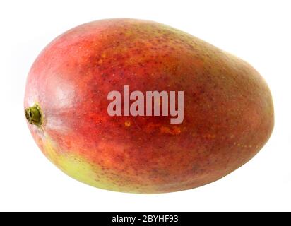 Large mango fruit on white background Stock Photo