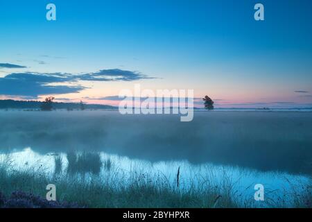 summer misty morning on bog Stock Photo
