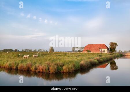 farmhouse and sheep on pasture by river Stock Photo