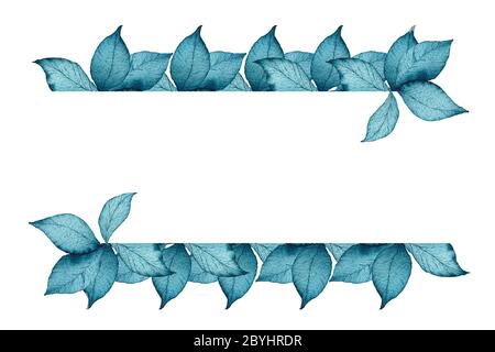watercolor blue floral banner with teal colored leaves, artistic blue leaves in botanic frame design with copy space Stock Photo