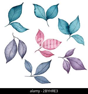 set of hand drawn watercolor leaves, herbs and branches isolated on white, botanical clip art with colorful herbal design elements Stock Photo