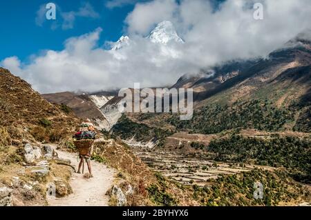 Nepal. Island Peak Trek. A heavily laden porter takes a break looking towards the world famous peak of Ama Dablam as seen from the trail between Namche Bazaar and Dingboche village Stock Photo