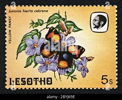 Yellow pansy, Junonia Hierta cebrene. Postage stamp  Series Butterflies,  Lesotho,1984 Stock Photo