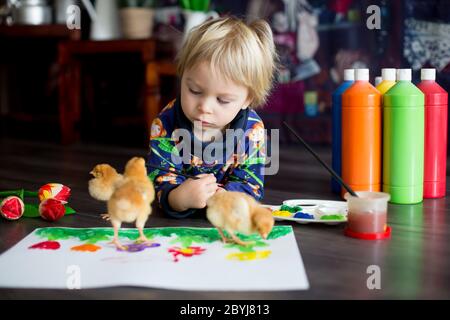 Sweet toddler blond child, boy, painting with colors, little chicks walking around him, making funny prints on his paper Stock Photo