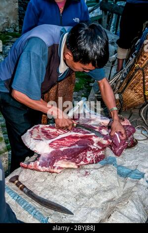 Nepal. Island Peak Trek. A visiting butcher demonstrates his skills to waiting Sherpa lady customers. Meat is a real treat for families in what is a basic vegetarian diet. The butcher has carried two whole leg loins of a Jak cow along the the animals liver from Lukla town several hours walk away visiting  all the small communities until there is nothing left of the meat. Even the bones will be used to make soup-broth then later pounded to dust to provide fertiliser Stock Photo