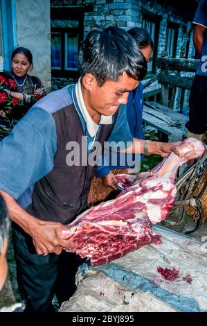 Nepal. Island Peak Trek. A visiting butcher demonstrates his skills to waiting Sherpa lady customers. Meat is a real treat for families in what is a basic vegetarian diet. The butcher has carried two whole leg loins of a Jak cow along the the animals liver from Lukla town several hours walk away visiting  all the small communities until there is nothing left of the meat. Even the bones will be used to make soup-broth then later pounded to dust to provide fertiliser Stock Photo