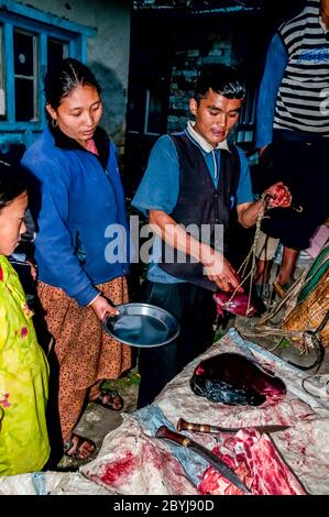 Nepal. Island Peak Trek. A visiting butcher demonstrates his skills to waiting Sherpa lady customers. Meat is a real treat for families in what is a basic vegetarian diet. The butcher has carried two whole leg loins of a Jak cow along the the animals liver [seen here] from Lukla town several hours walk away visiting  all the small communities until there is nothing left of the meat. Even the bones will be used to make soup-broth then later pounded to dust to provide fertiliser Stock Photo