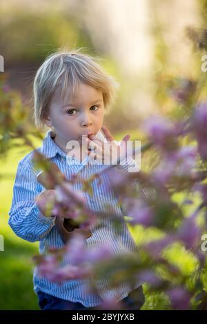 Little toddler boy, eating chocolate bunny in garden on sunset, easter eggs around him Stock Photo