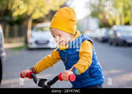 Children, playing on the street with blooming pink cherry trees on sunset, riding bikes Stock Photo
