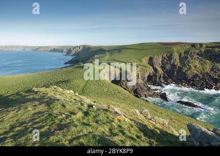 The Rumps peninsula in Cornwall, England. Stock Photo