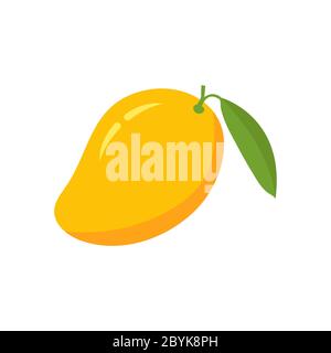 Mango fruit vector isolated on white Stock Vector