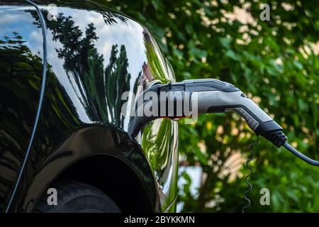 Charger plug in electric car on green environment background. New energy vehicle, NEV is being loaded with electricity power. Ecology, modern day cars Stock Photo