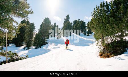 Speeding downhill on wooden sled. Happy influencer having fun with wood vintage sledding on snow high mountains - Natural sled runs Stock Photo