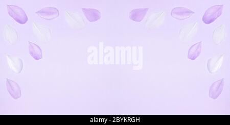 Purple and white feathers on lavender colored pastel background. Top view, flat lay. Creative frame with copy space Stock Photo