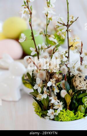 Simple decoration for Easter table with chery blossom twigs, buxus and catkins. Final result. Step by step, tutorial. Stock Photo