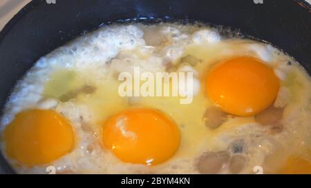 Eggs are fried in a pan. Cooking fried egg Stock Photo