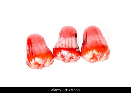 red fruit, rose apples or chompoo isolated in plate on white background Stock Photo