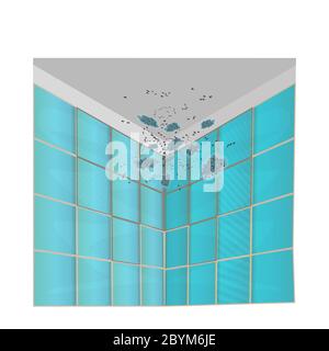 Mold on walls and ceiling. Mildew on the tile in the bathroom or shower. Stains on the wall. Concept of condensation, damp, high humidity.Stock vector Stock Vector