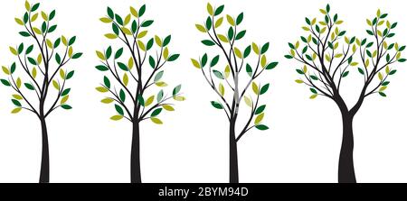 Set of Trees and Leaves. Vector Illustration. Collection of icons. Stock Vector