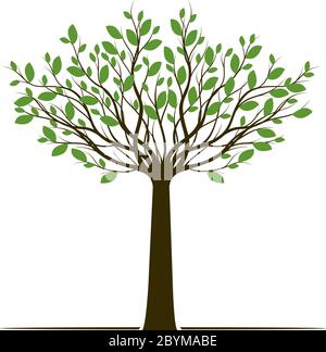 Green Spring and decoration Tree. Vector outline Illustration. Plant in garden. Stock Vector