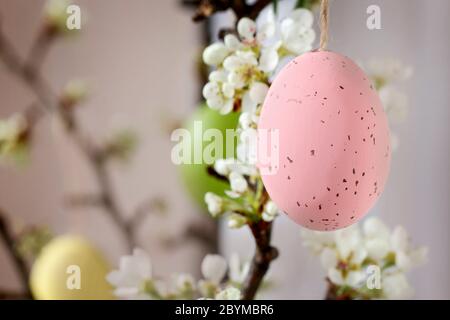 Easter eggs hanging on blooming apple tree branch. Festive decor Stock Photo
