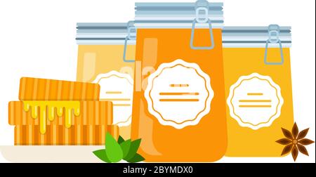 Honey in glass jars, honey combs, a mint leaf and anise flower flat isolated Stock Vector