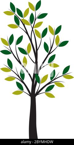 Green Spring and decoration Tree. Vector outline Illustration. Plant in garden. Stock Vector