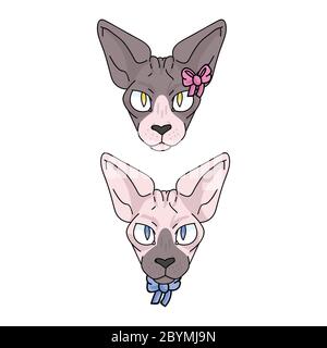 Cute Cartoon Sphynx Cat Boy And Girl Vector Clipart Pedigree Exotic Kitty Breed For Cat Lovers Purebred Domestic Kitten For Pet Parlor Illustration Stock Vector Image Art Alamy