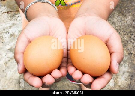 children hand hold eggs chicken farm Stock Photo